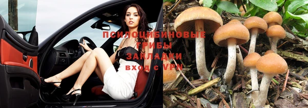 марихуана Алексеевка